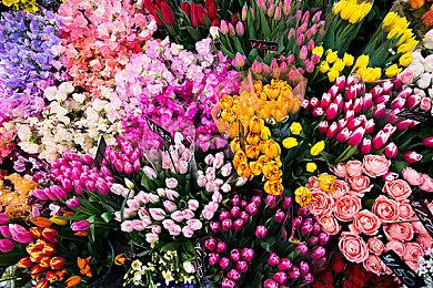 韩国要求苹果和谷歌删除