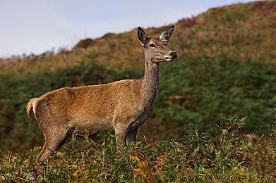 《赛博朋克2077》和《往日之影》创造了约7.5亿美元收入